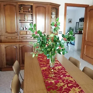 https://l-agrifoglio-di-rita-loddo.in-sardinia.net